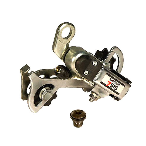 Derailleur for the eZip Skyline and eZip Trailz