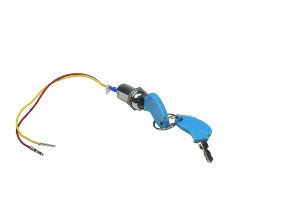 Two Wire Ignition Module (Key Switch) with Keys